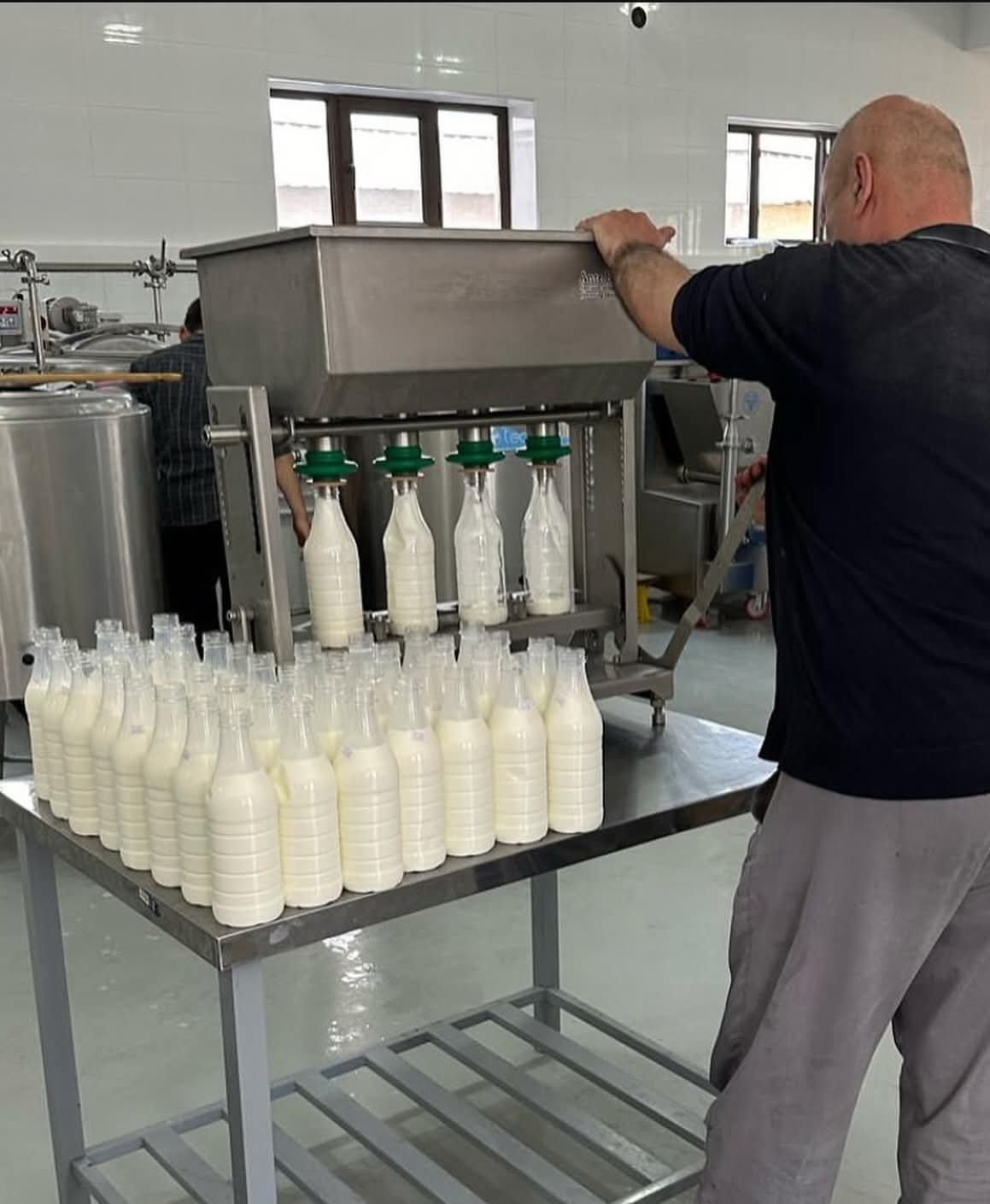 Yoghurt Processing Line